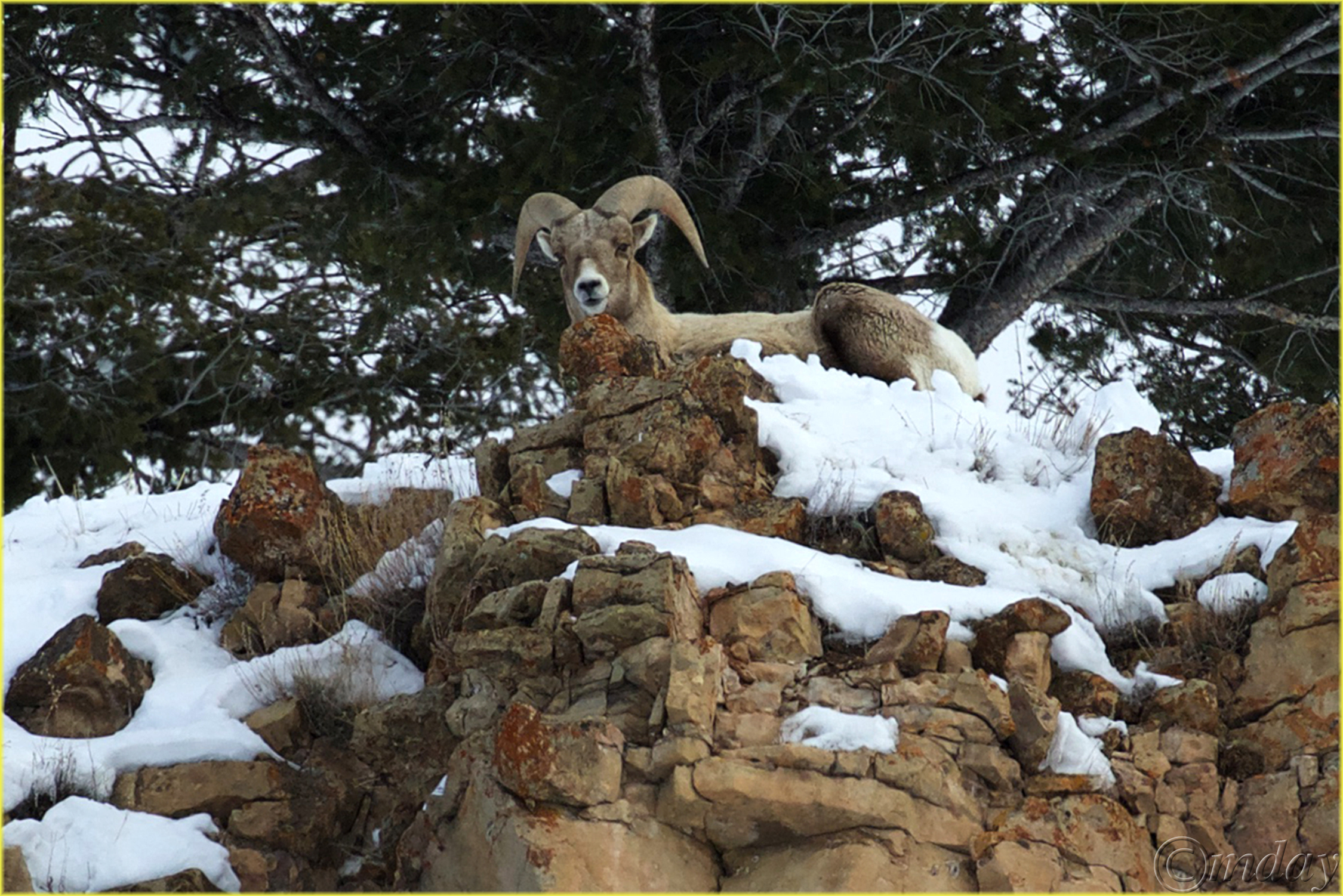 14.1DXb6481RamYNPFeb'18(c7.5x5,300bd)