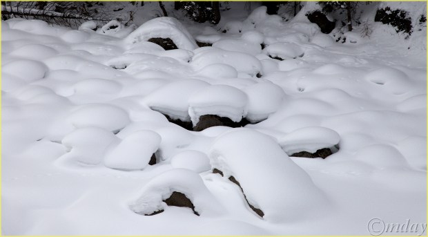 3.5DII*i4935LamarRSnowYNPFeb'18(7.5x4.1,300cpyrtbd)