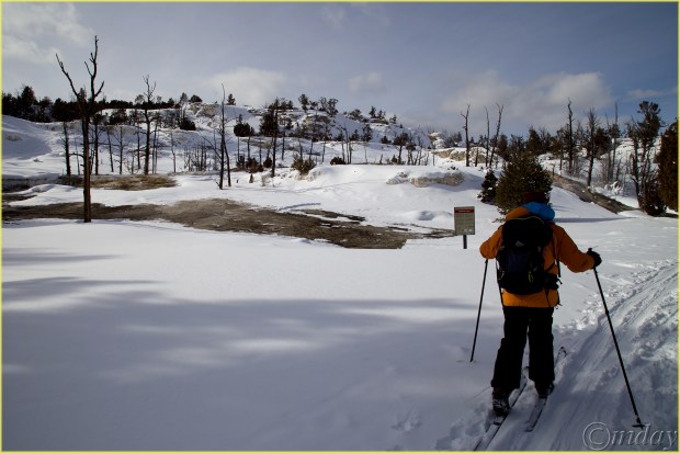 5.5DII*i5052MammothTerraceYNPFeb'18(7.5x5,300cpyrtbd)