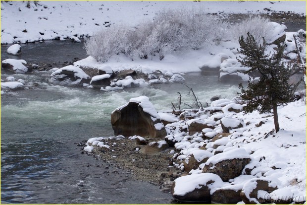 8.1DXb6554YRiverYNPFeb'18(7.5x5,300cpyrtbd)